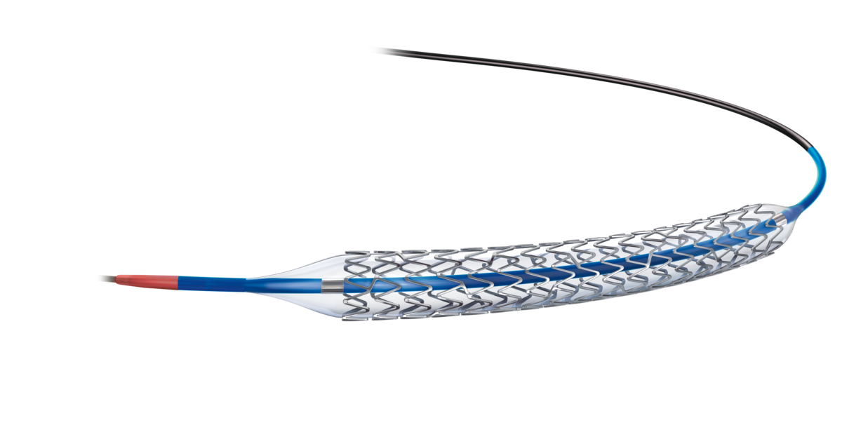 PTFE Coated Stent